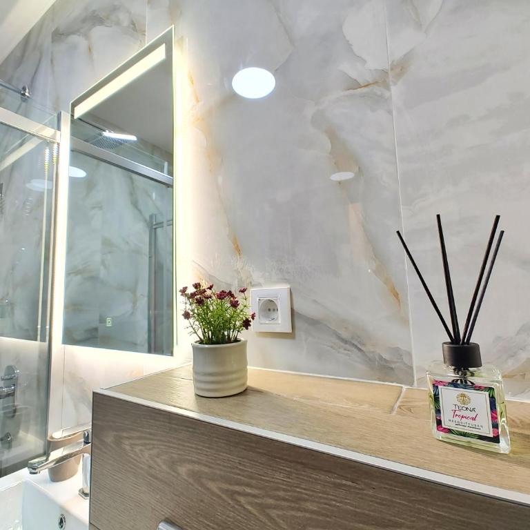 Apartman Koca Z1 - Apartman sa 1 Spavaćom Sobom - 2
