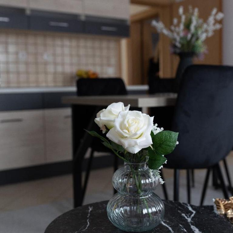 Taya - Two-Bedroom Apartment - 11