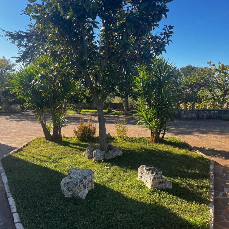 Trullo in vigna - Casa con 3 Camere da Letto - 40