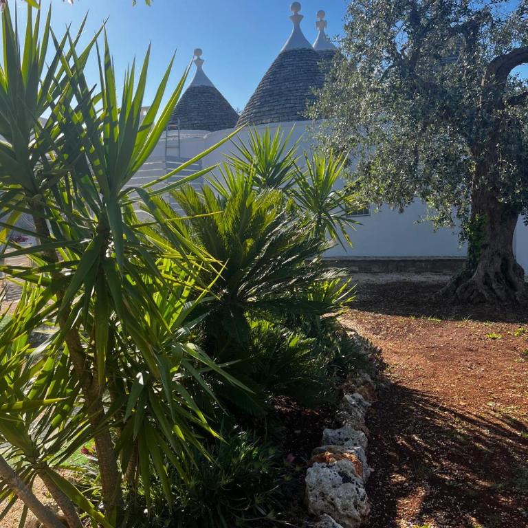 Trullo in vigna - Casa con 3 Camere da Letto - 53