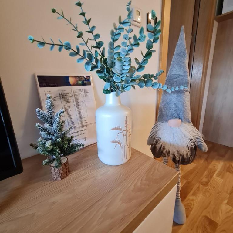 Apartmani Mia&Ana Zlatibor - Apartman sa 1 Spavaćom Sobom - 7