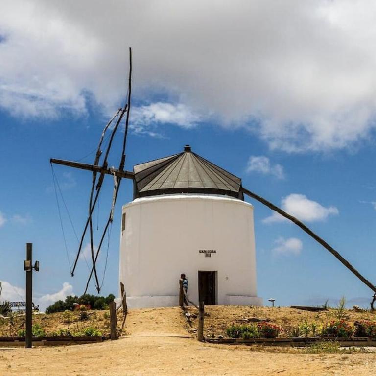 La Casa Del Tiempo Encantador Apartamento Vejer - Apartamento de 1 dormitorio - 14