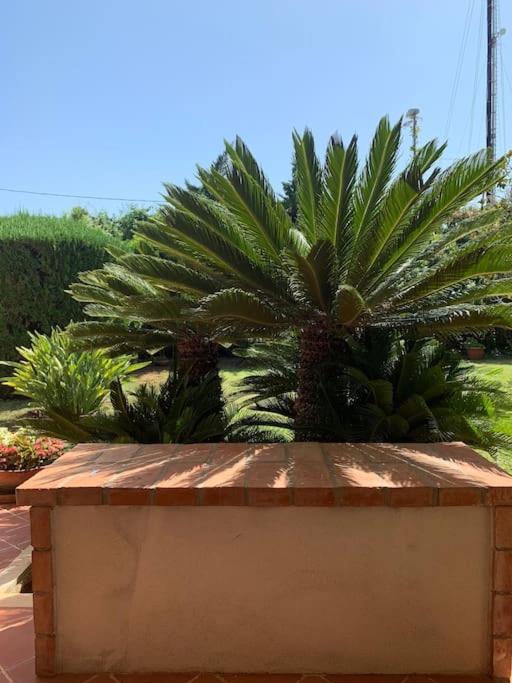 RelaxComfort&Mare - Villa con 3 Camere da Letto - 38