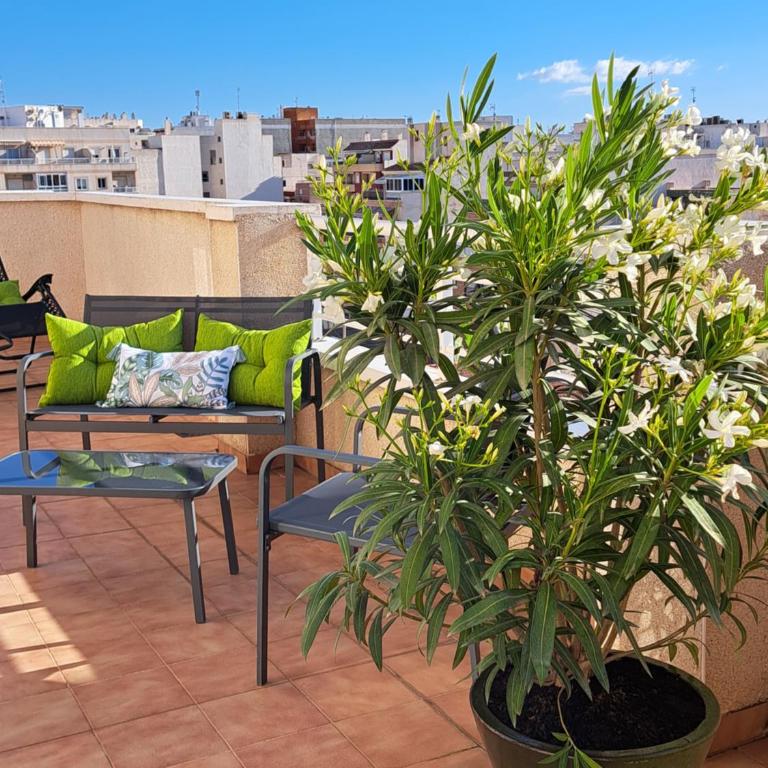 Atico Roof Top Torrevieja - One-Bedroom Apartment - 10