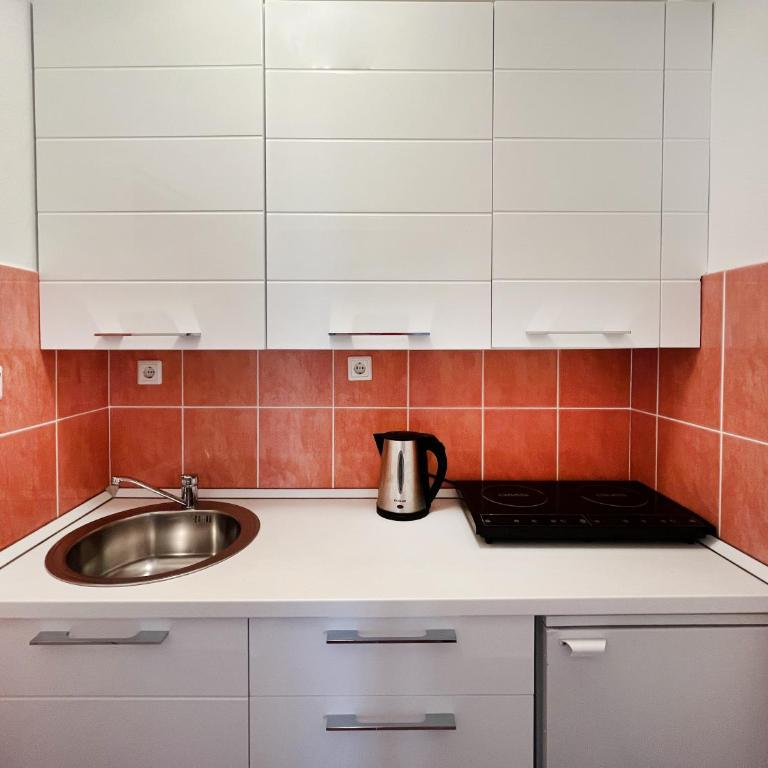 Apartmani Novkovic - Two-Bedroom Apartment with Balcony - 3