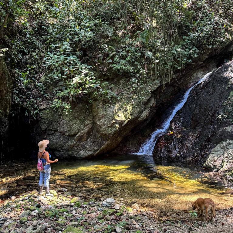 Cinduli Finca Orgánica Cacaotera - One-Bedroom Cottage - 9