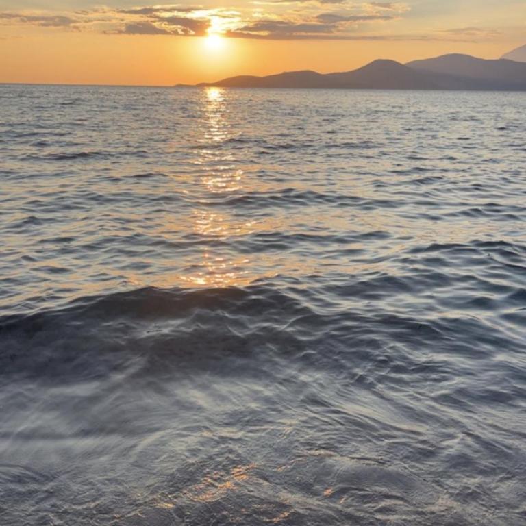 Zukovica Villa - Kuća sa 1 Spavaćom Sobom - 18