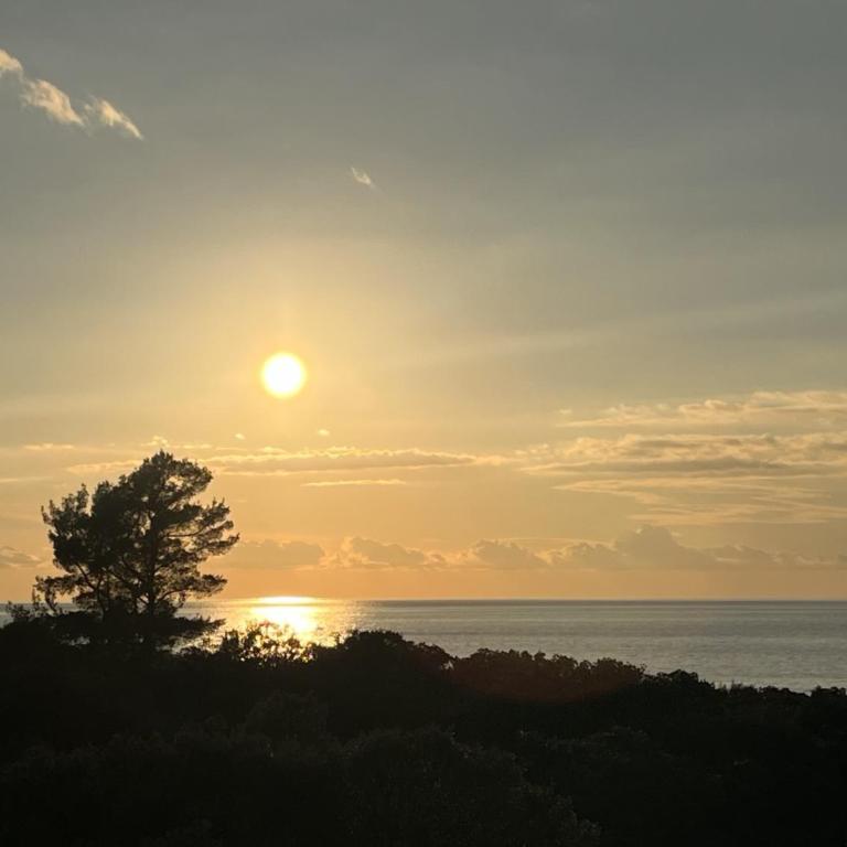 Zukovica Villa - Kuća sa 1 Spavaćom Sobom - 26