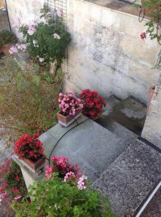 Le volte di San Leonardo - Monolocale - 5