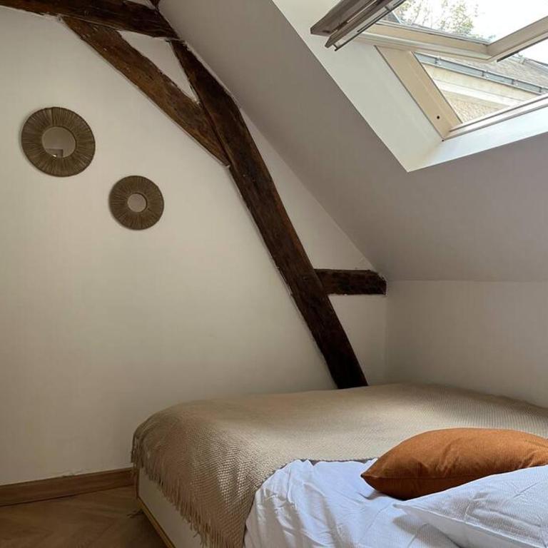 T3 cinéma - Centre historique, bord de Loire - Appartamento con 2 Camere da Letto - 7