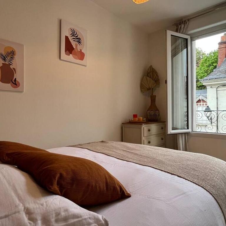 T3 cinéma - Centre historique, bord de Loire - Appartamento con 2 Camere da Letto - 2