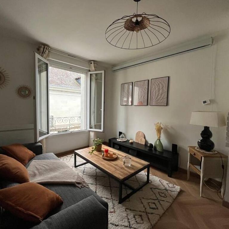 T3 cinéma - Centre historique, bord de Loire - Appartamento con 2 Camere da Letto - 11