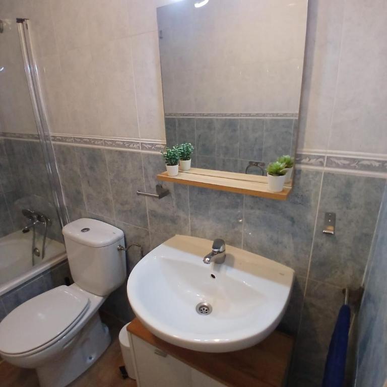 Apartamento tejares - Apartamento de 1 dormitorio - 44