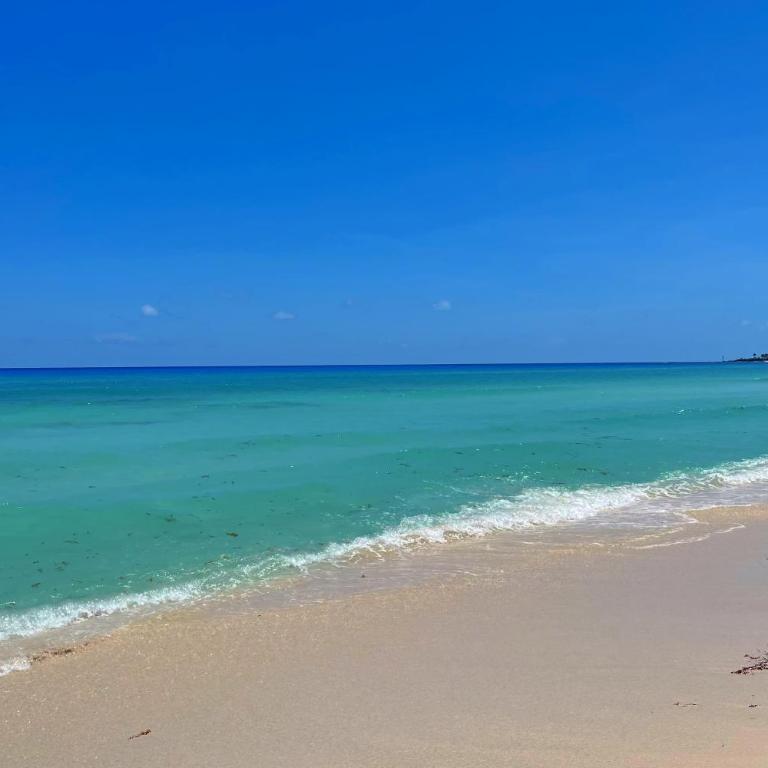 Seaside Escape Studio in Cancun Beach - One-Bedroom Apartment - 55