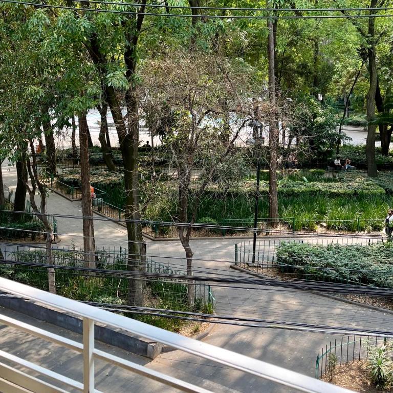 Edificio Art Deco en Roma Norte - Estudio con vistas al jardín - 14