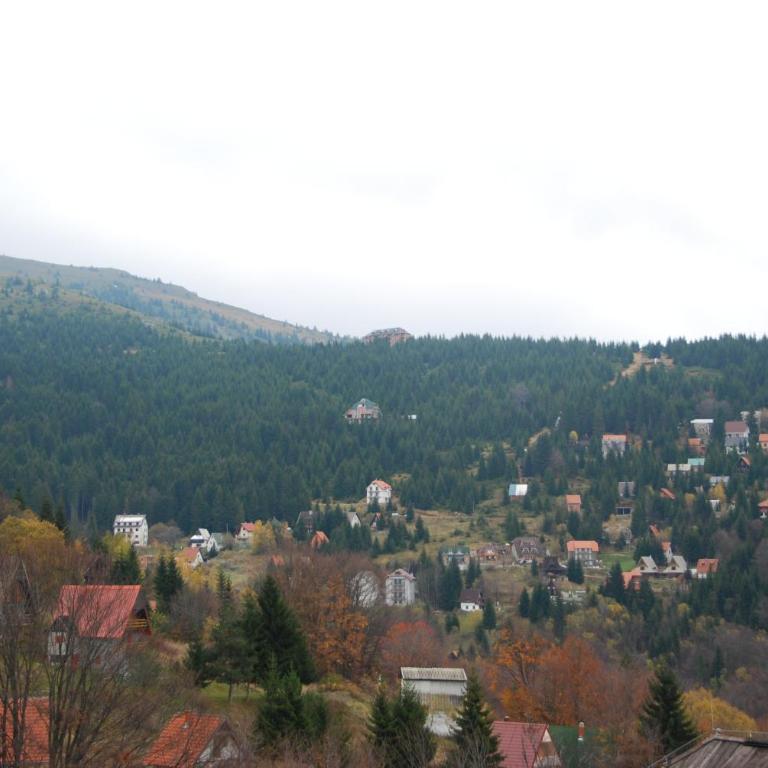 Ski & Relax Apartment - Apartment with Mountain View - 18
