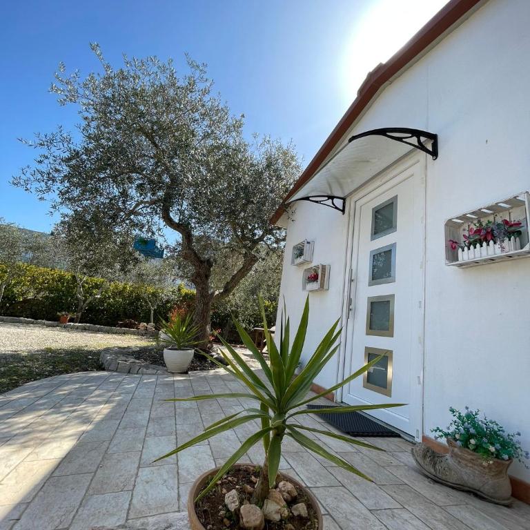 Villa Dama - Casa Vacanze - 12