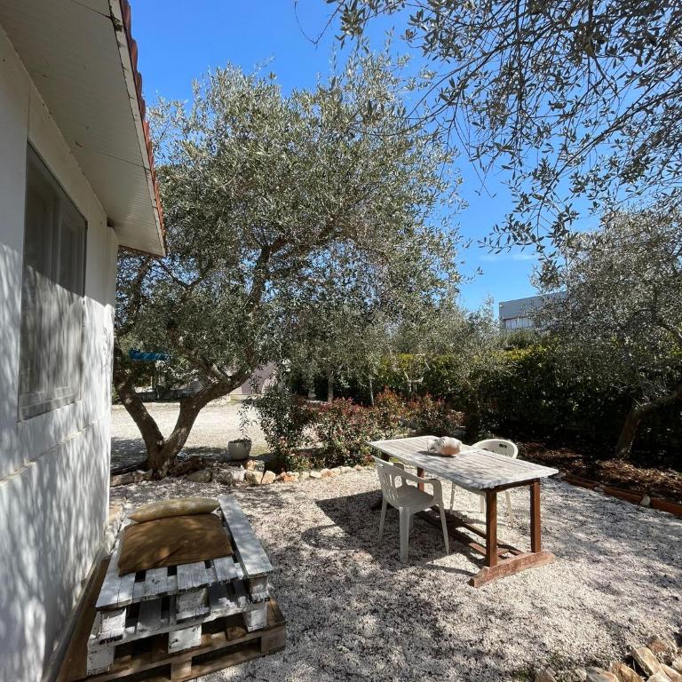 Villa Dama - Casa Vacanze - 14