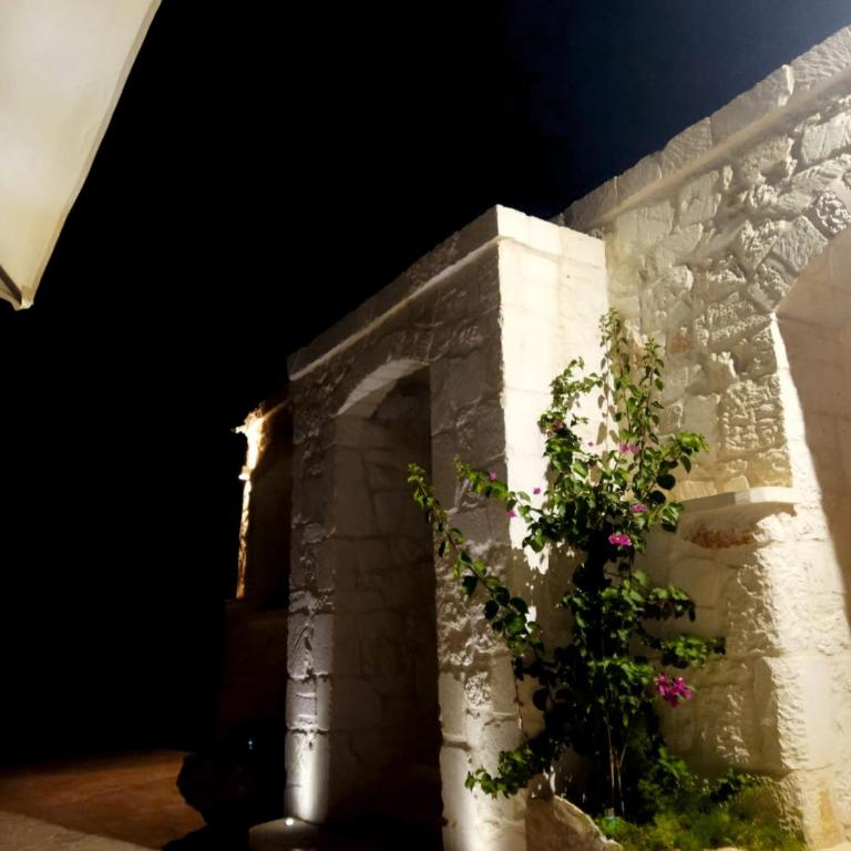 Villa Brachychiton - Casa Vacanze con 3 Camere da Letto - 7