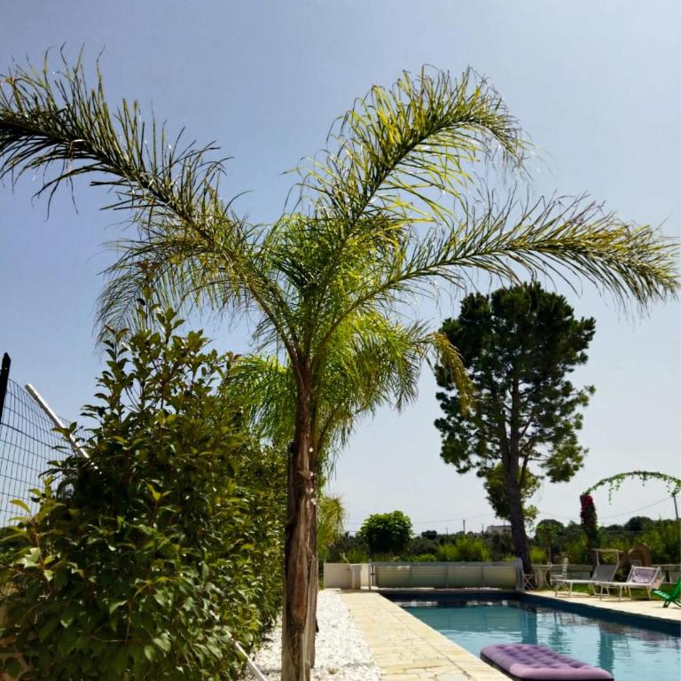 Villa Brachychiton - Casa Vacanze con 3 Camere da Letto - 37
