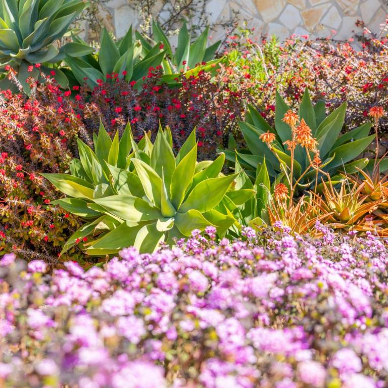 Altea Hills , Villa Noruega - Villa - 52