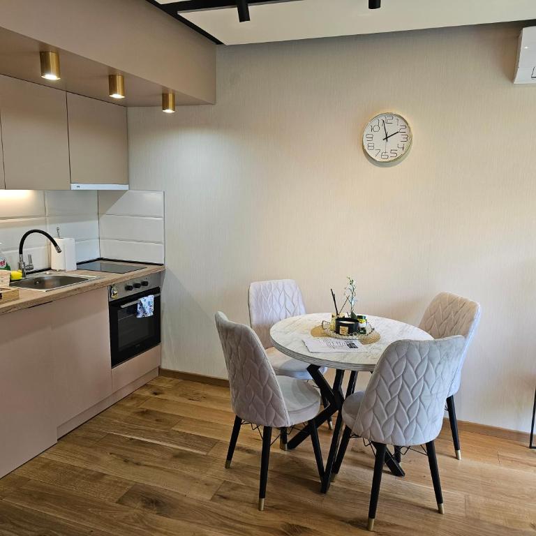 PREMIUM APARTMAN ELENI ROOMS,oaza mira i tisine u centru Vrnjacke banje - Apartman sa 2 Spavaće Sobe - 9