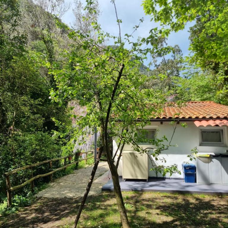 Casetta indipendente al mare - Casa con 2 Camere da Letto - 11
