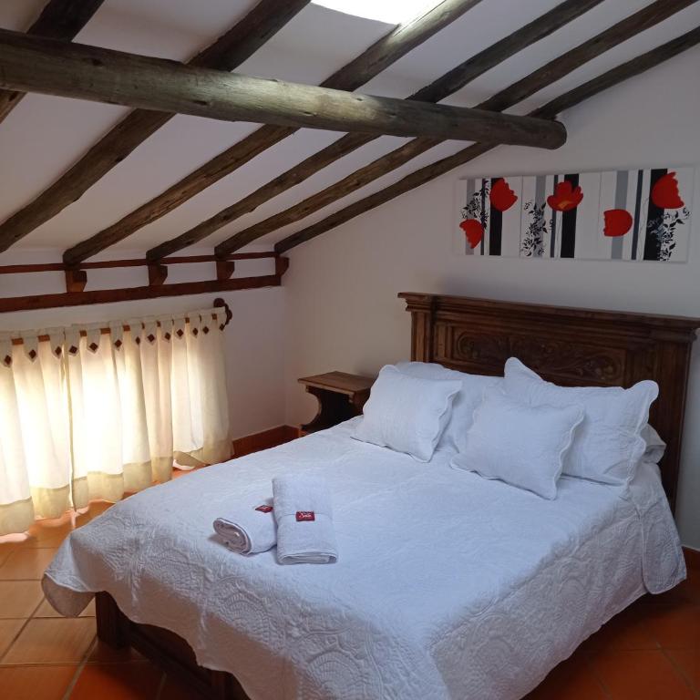 Casa Hotel La Villa del Rosario - Habitación Cuádruple con baño privado externo - 9