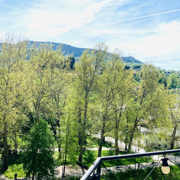 Penthouse Sarajevo - Apartman sa Terasom - 30