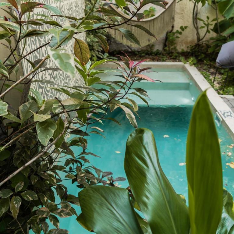 Casa Bohemia - Apartamento - Planta baja - 3