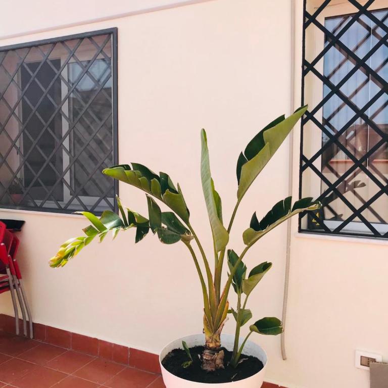 Lavica Di Mezzo Apartments - Maisonette - 29