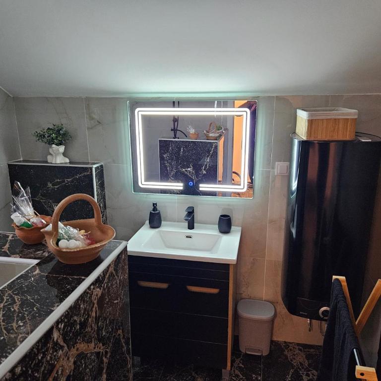 Rodjaci sa sela - Deluks Apartman s 1 Spavaćom Sobom i Pogledom na Vrt - 9