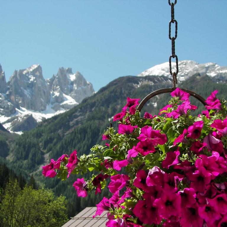 Maison Miravalle - Appartamento con Vista Montagna - 19