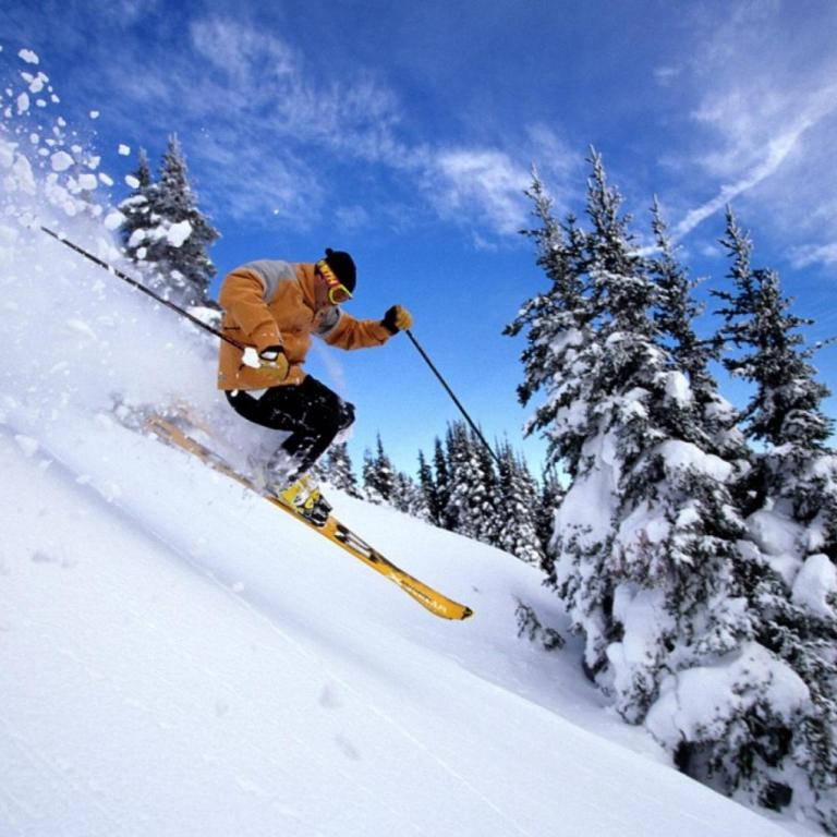 Hotel Del Lago - Special Offer: Double Room with 2 ski passes and spa access - 2