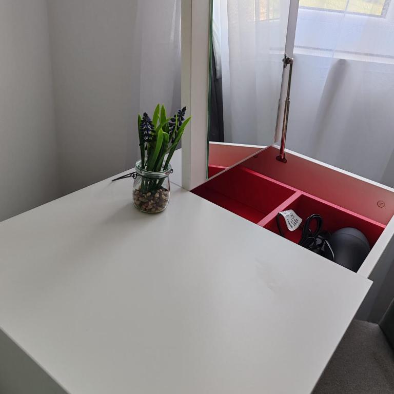 Rodjaci sa sela - Deluks Apartman s 1 Spavaćom Sobom i Pogledom na Vrt - 15