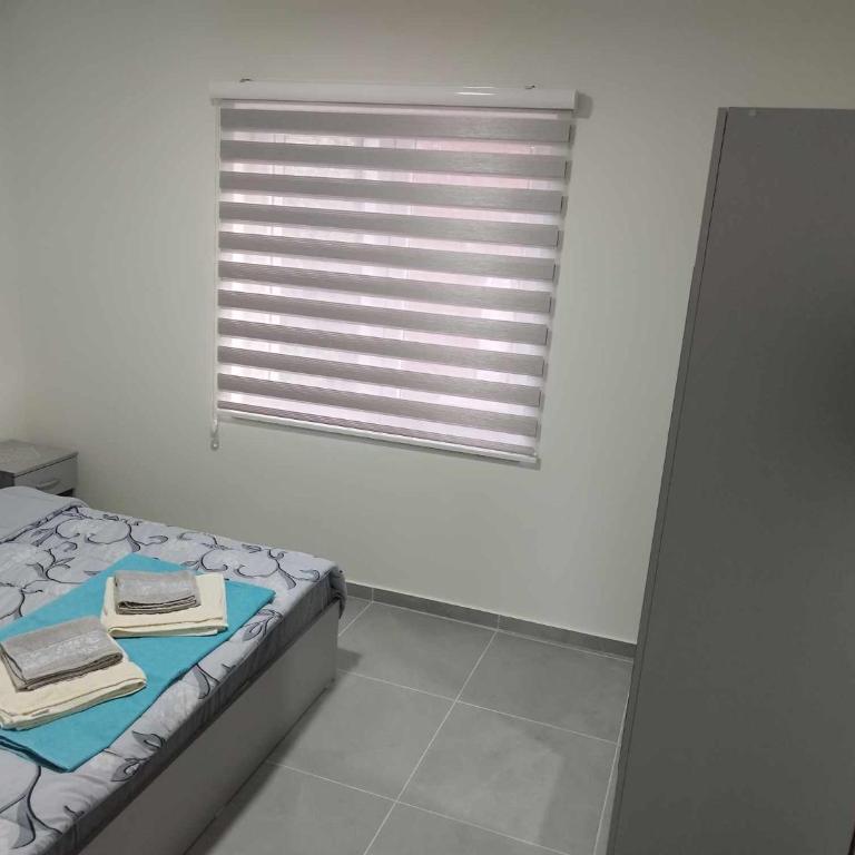 Apartmani Manić - Apartman sa Terasom - 3