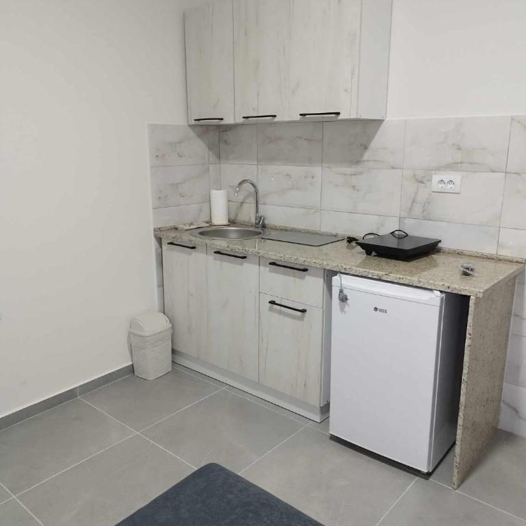 Apartmani Manić - Apartman sa Terasom - 5