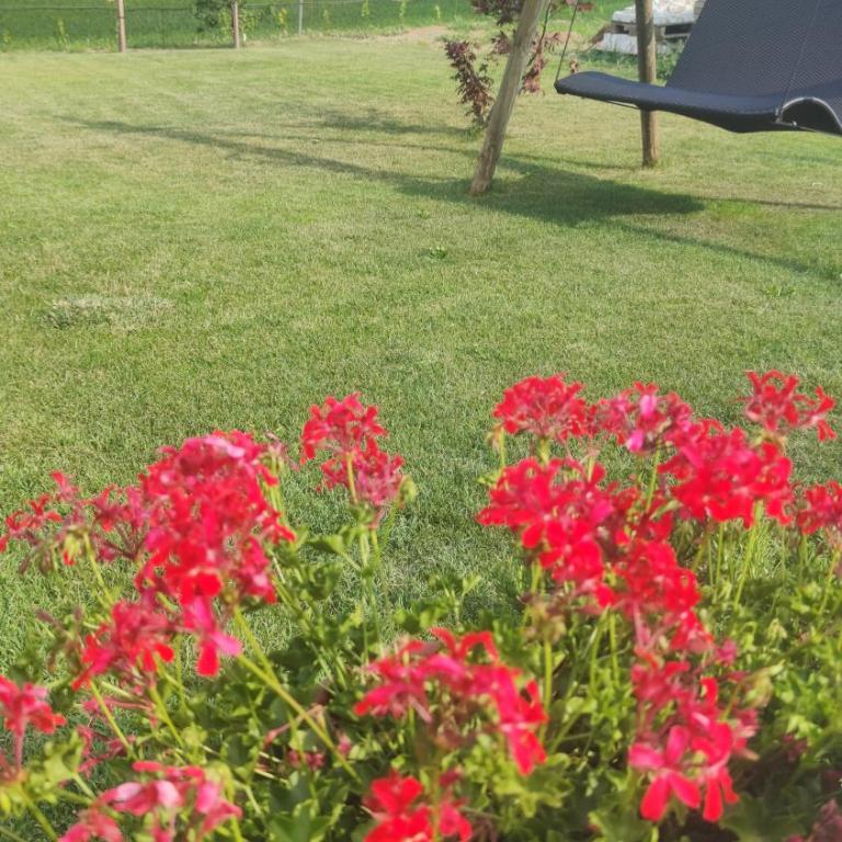 Highlight Apartments - Appartamento - Piano Terra - 9