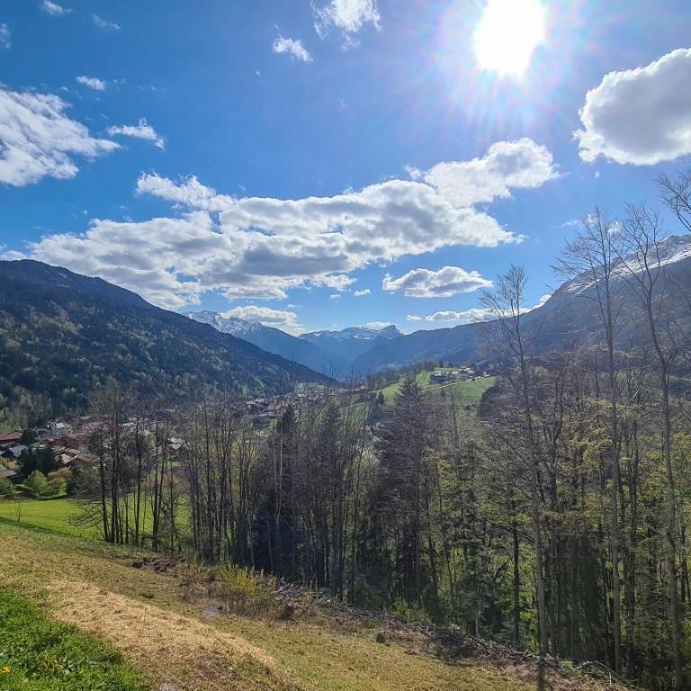La Terrasse des Aiguilles - Vue montagne, terrasse - AravisTour - Appartement 1 Chambre - 22