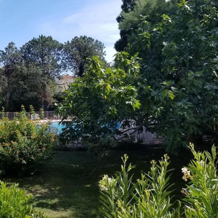 Saint Tropez Hip T4 Centre Piscine Parking Plage 100 m - Three-Bedroom Apartment - 31