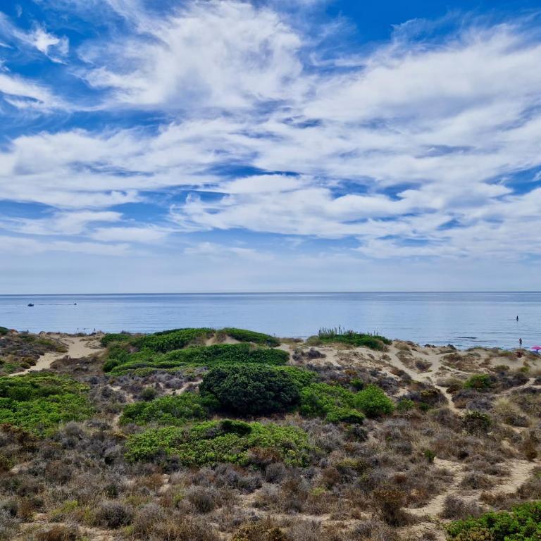 SR Dunas de Carib Playa Marbella - Apartamento de 1 dormitorio - 32