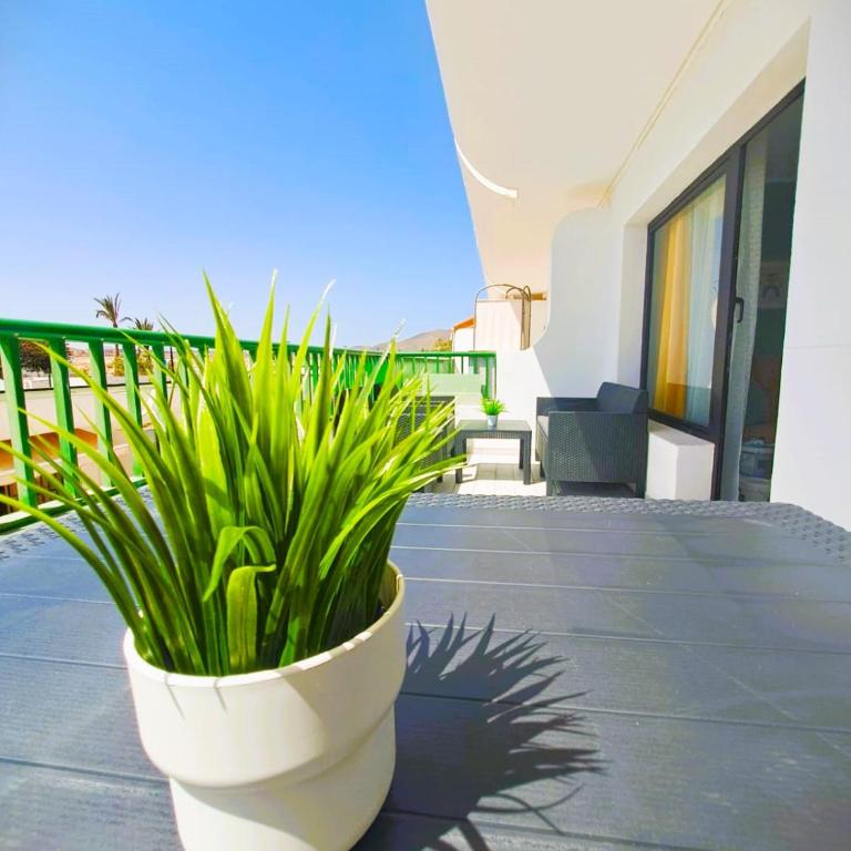 Casa Madí Dunasol Corralejo by AHF - One-Bedroom Apartment - 14