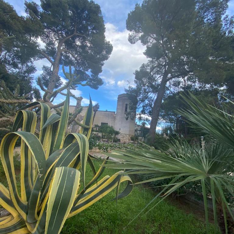 Torre del Sole - One-Bedroom House - 41