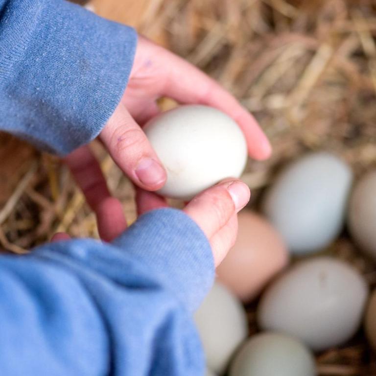 Maravillosa Casa en Granja Sustentable - Casa de 3 dormitorios - 16