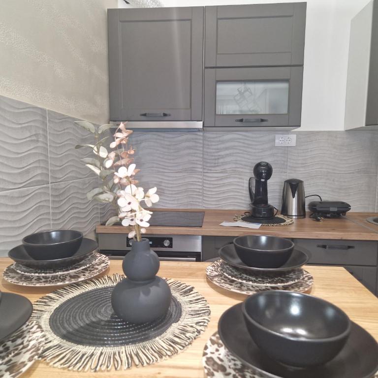 Apartmani Djuric Grey - One-Bedroom Apartment - 13