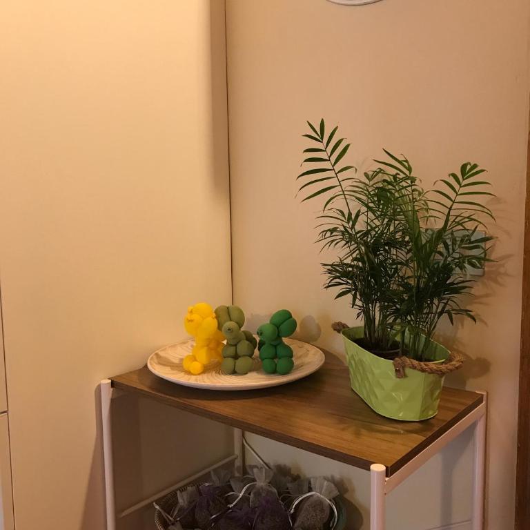 CAV MOTTENO - Casa Vacanze - 19