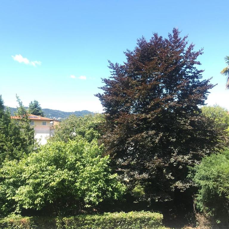 CAV MOTTENO - Casa Vacanze - 11