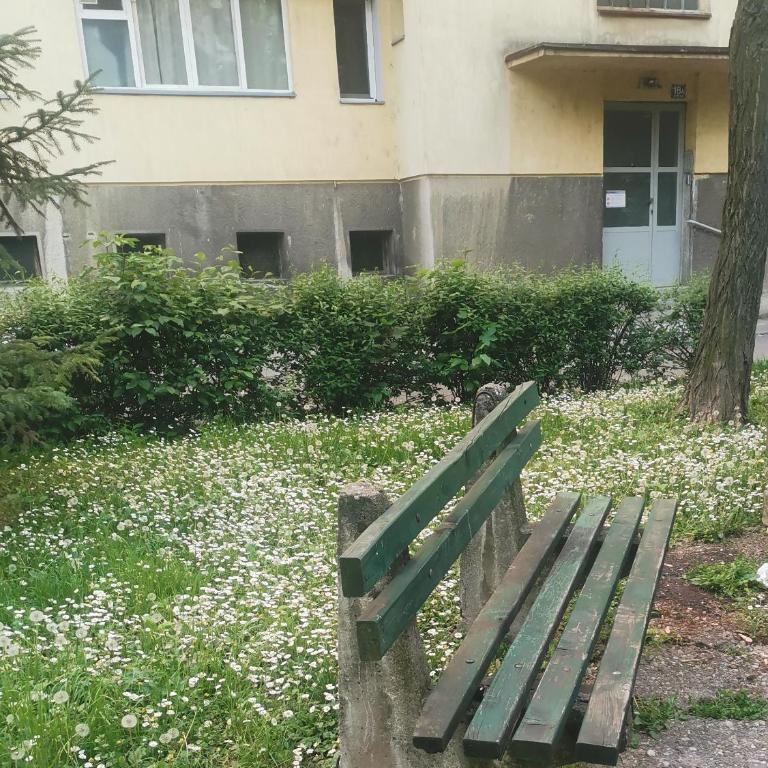 Stadion apartman - Apartman sa 1 Spavaćom Sobom - 35