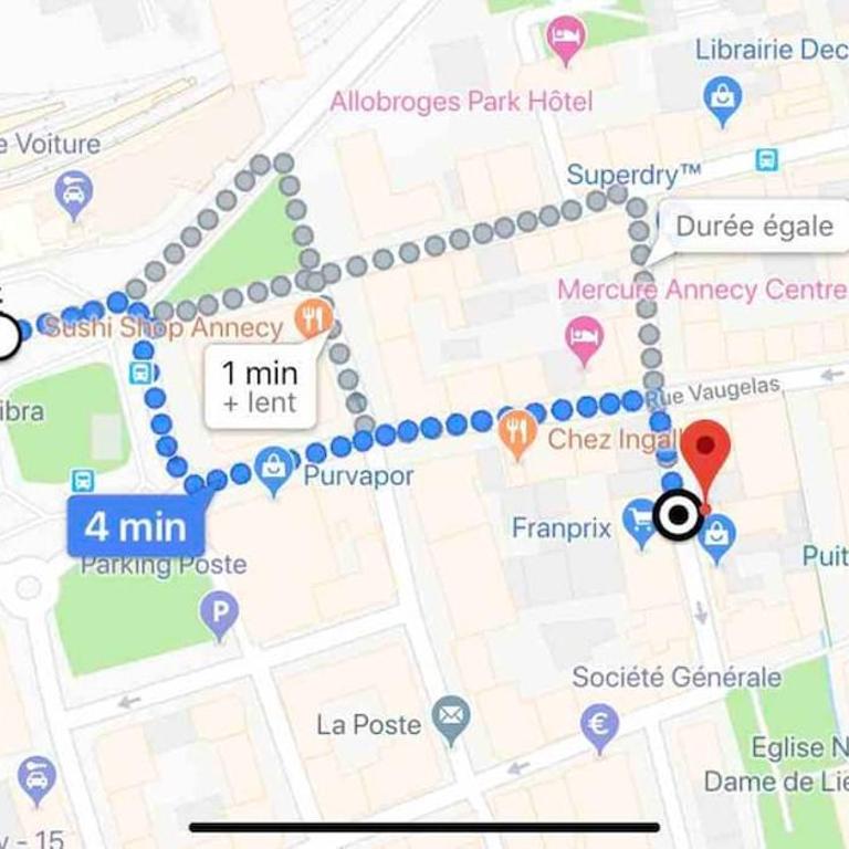 L Annex centre ville Annecy - Superior Apartment - 22