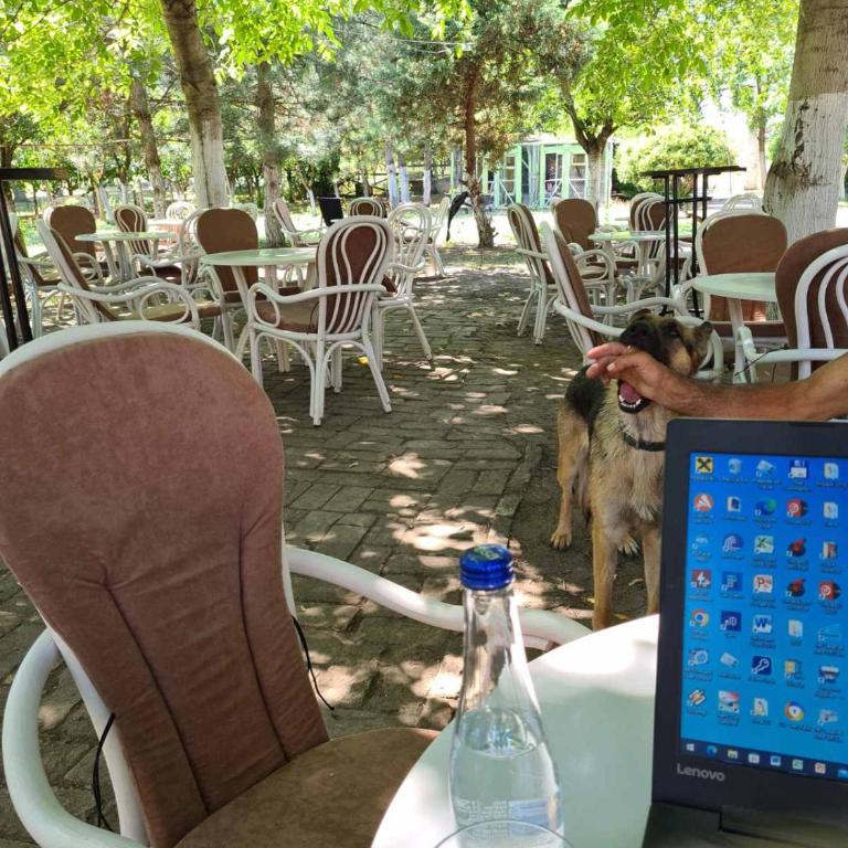 Salas potkovica - Kuća sa 1 Spavaćom Sobom - 5